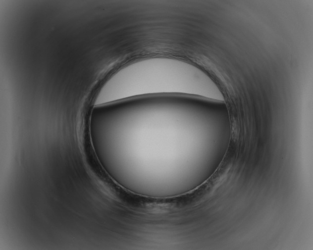 X0000088230448200705151052