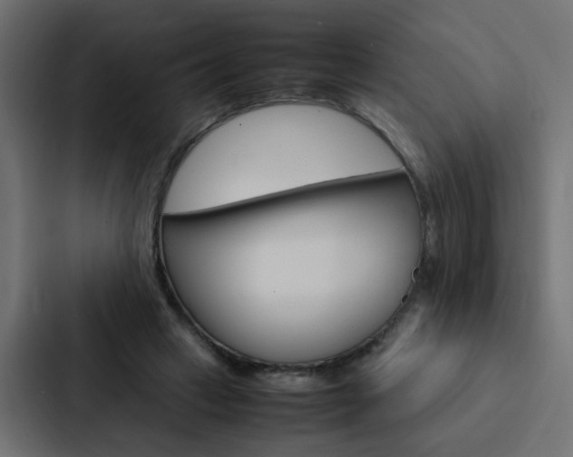 X0000088230449200705151052