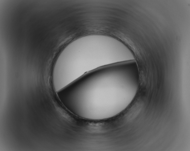 X0000088230450200705151052