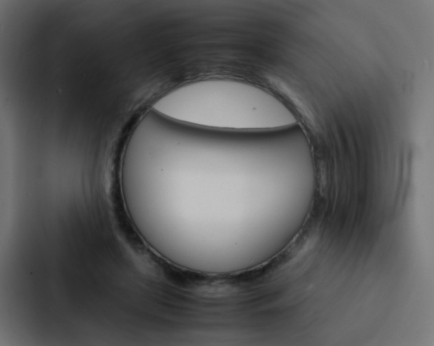 X0000088230451200705151052