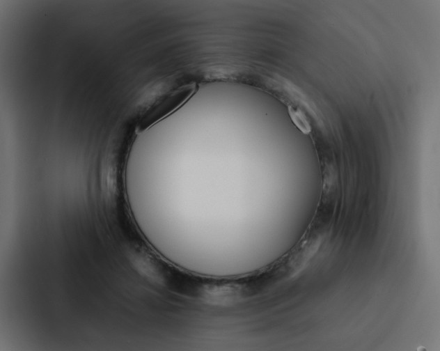 X0000088230452200705151052