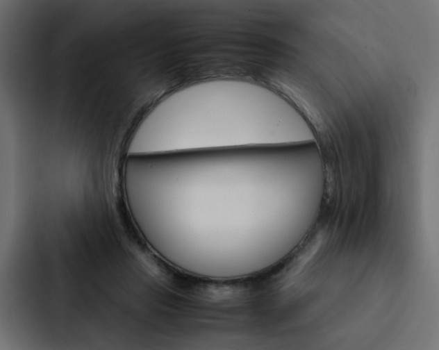 X0000088230453200705151052
