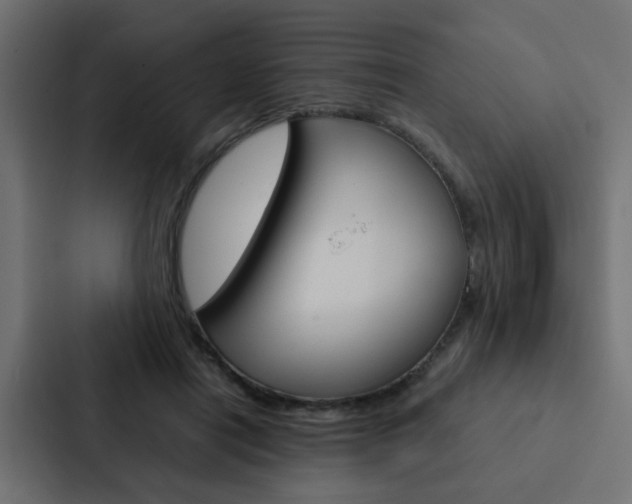 X0000088230454200705151052
