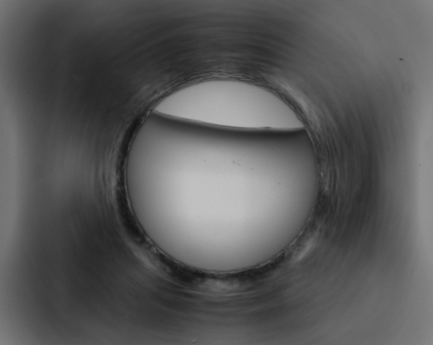 X0000088230455200705151052