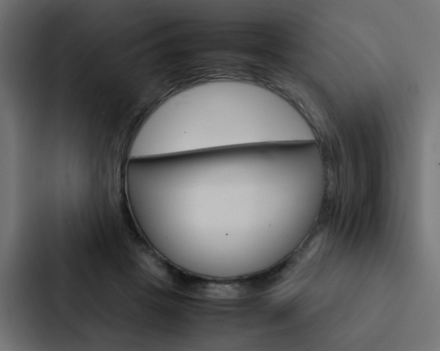 X0000088230457200705151052