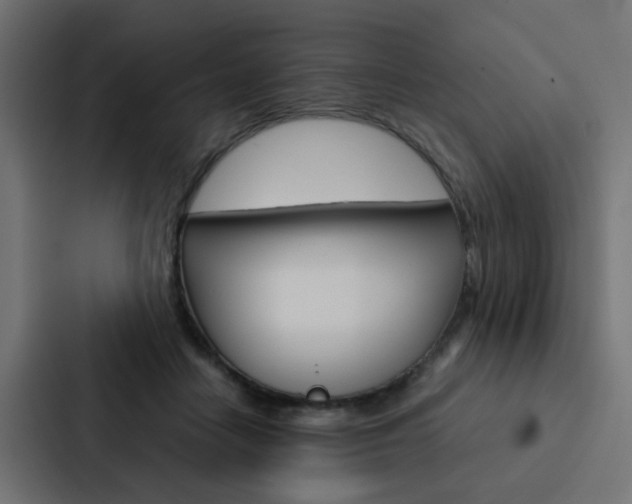 X0000088230458200705151052