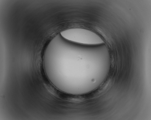 X0000088230459200705151052