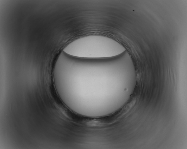 X0000088230460200705151052