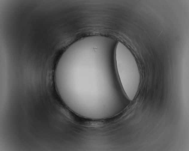 X0000088230462200705151052