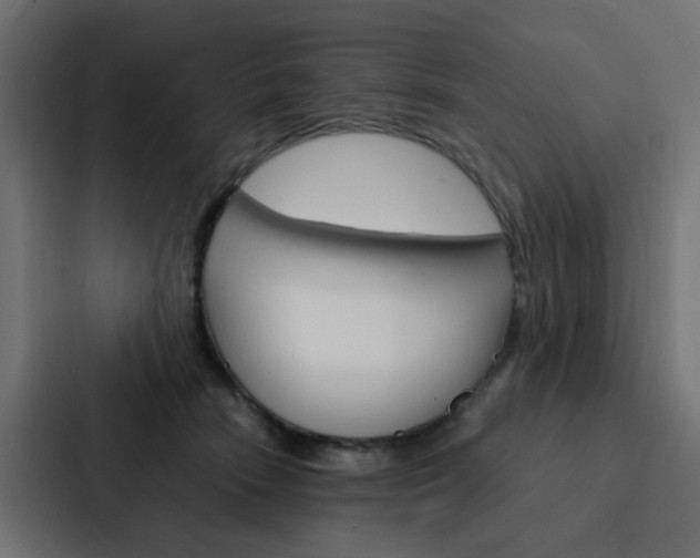 X0000088230466200705151052