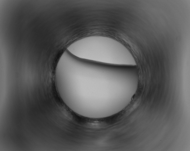 X0000088230467200705151052