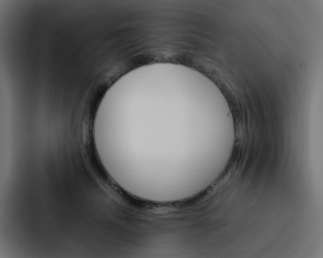 X0000088230468200705151052