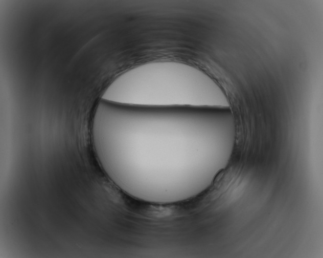 X0000088230469200705151052