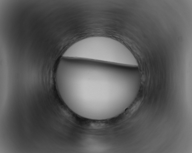 X0000088230470200705151052