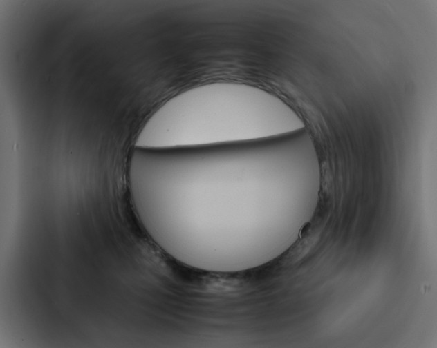 X0000088230471200705151052