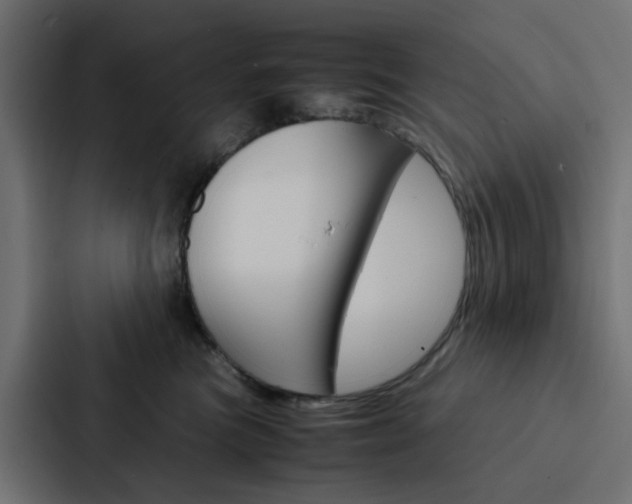 X0000088230473200705151052