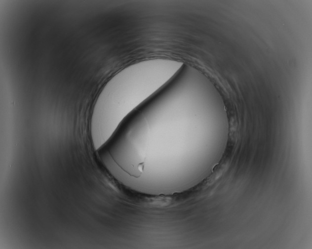 X0000088230474200705151052