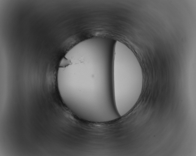X0000088230475200705151052