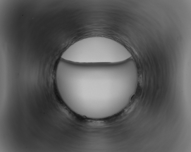 X0000088230476200705151052