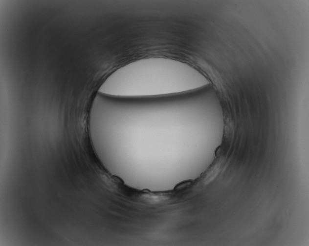 X0000088230477200705151052