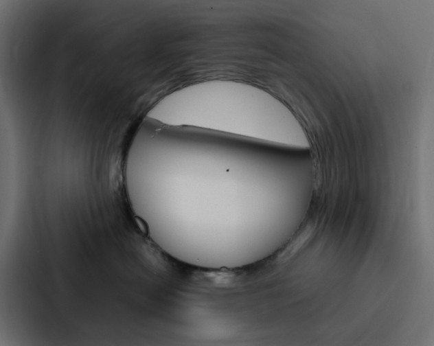 X0000088230478200705151052