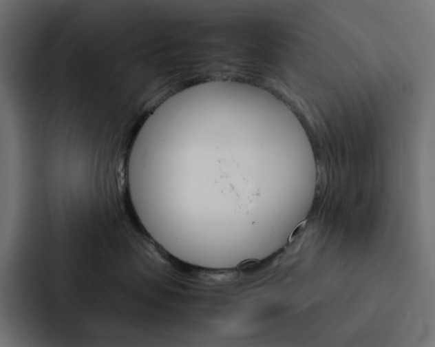 X0000088230479200705151052
