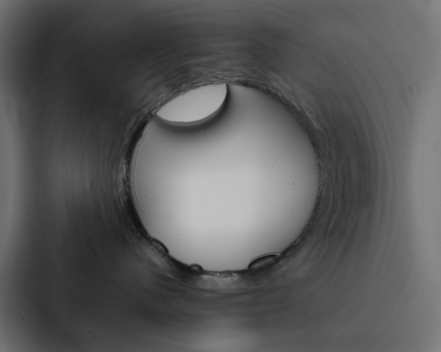 X0000088230480200705151052
