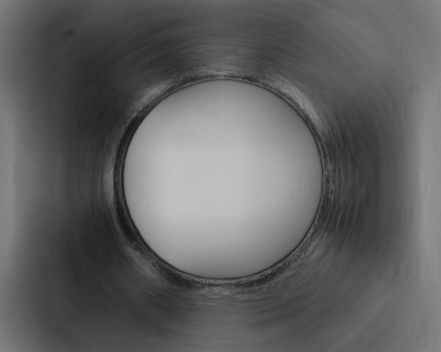 X0000088230482200705151052
