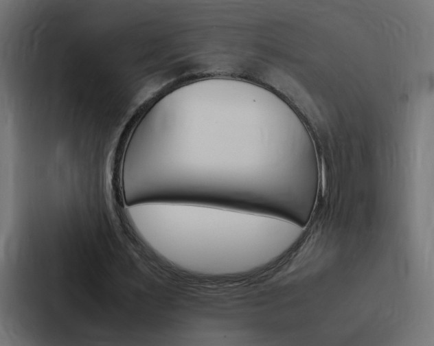 X0000088230483200705151052