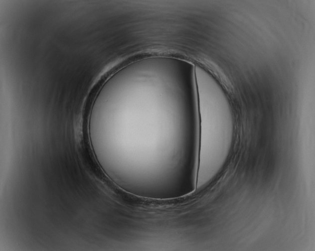 X0000088230484200705151052