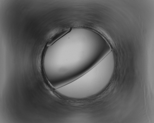 X0000088230485200705151052