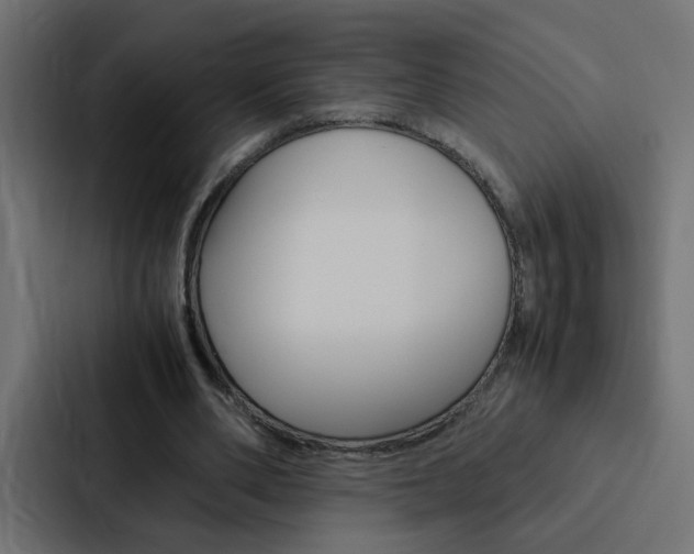 X0000088230486200705151052