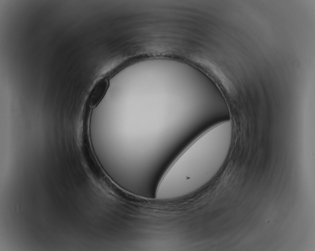 X0000088230488200705151052