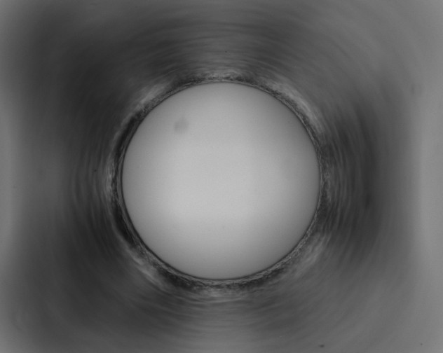 X0000088230490200705151052
