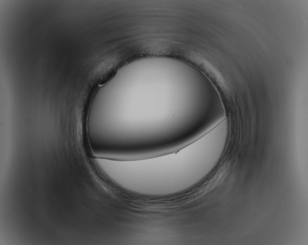 X0000088230493200705151052