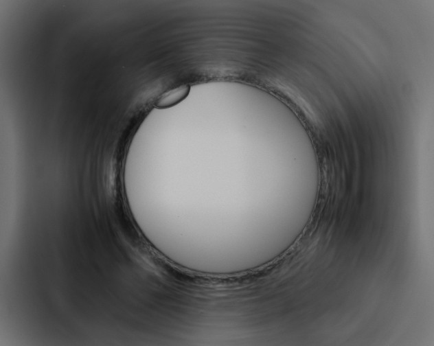 X0000088230494200705151052
