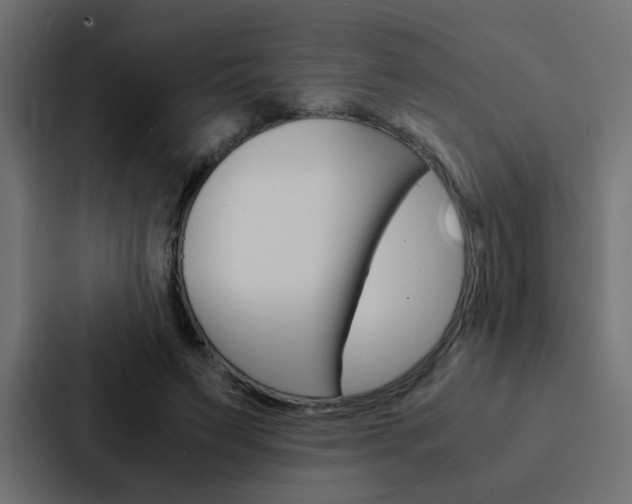 X0000088230495200705151052