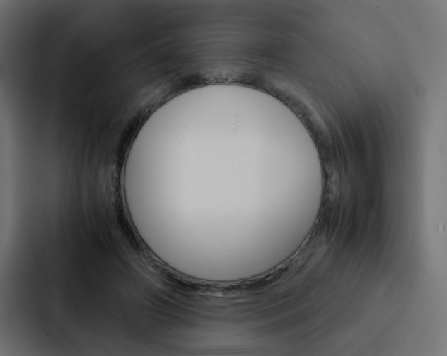 X0000088230498200705151052