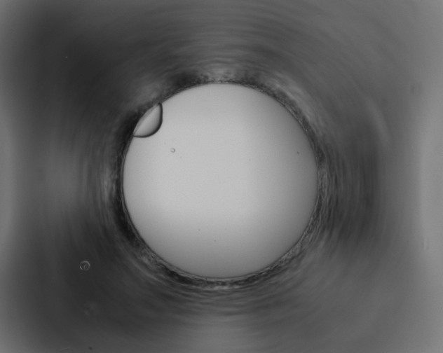 X0000088230499200705151052