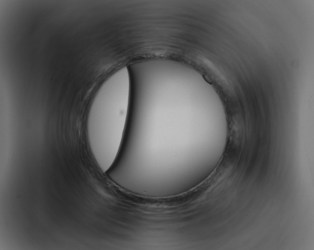 X0000088230500200705151052