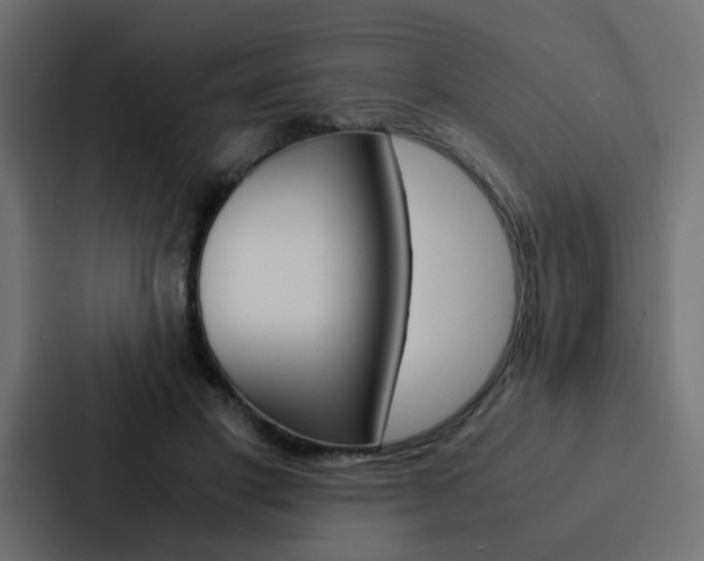 X0000088230501200705151052