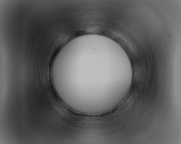 X0000088230502200705151051