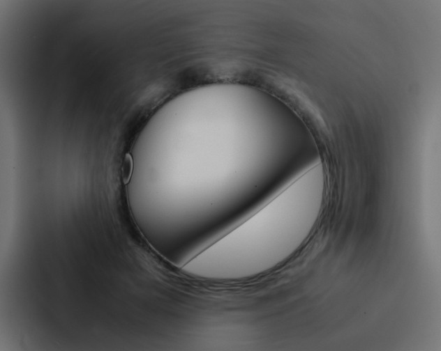 X0000088230505200705151051