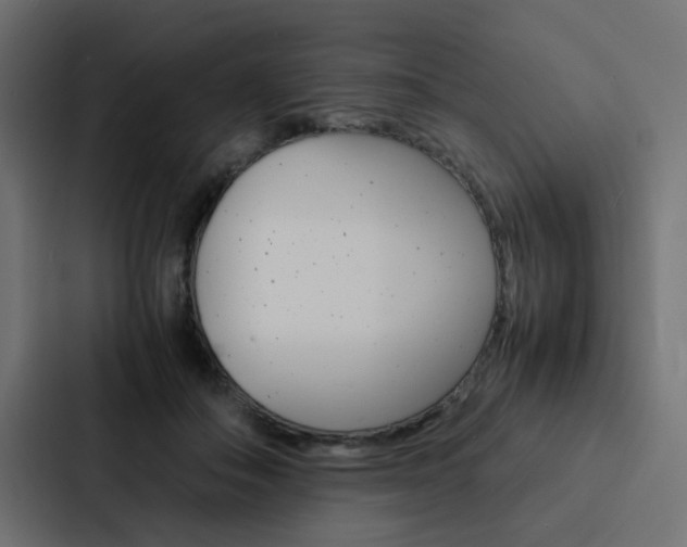 X0000088230506200705151051