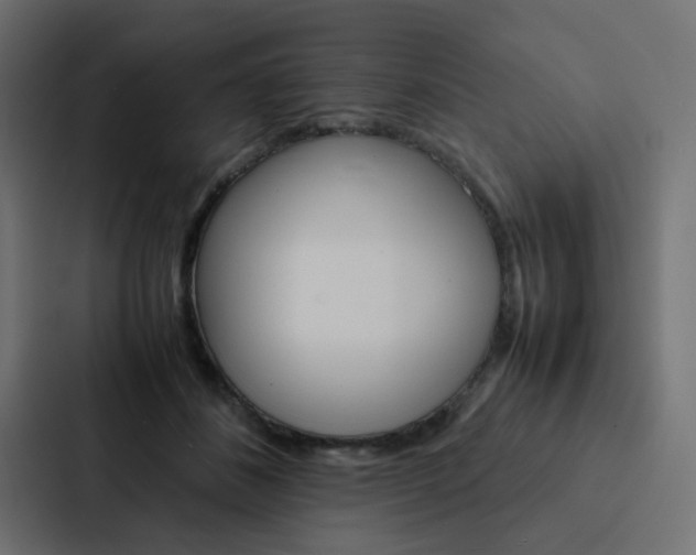 X0000088230508200705151051