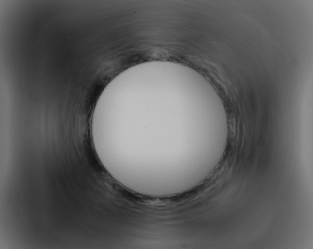 X0000088230511200705151051