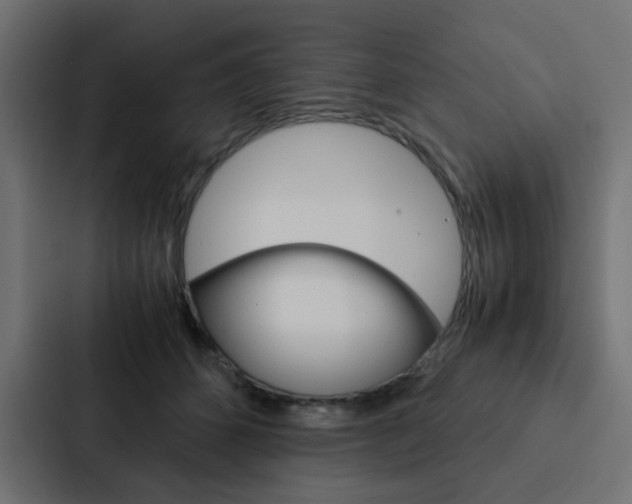 X0000088230512200705151051