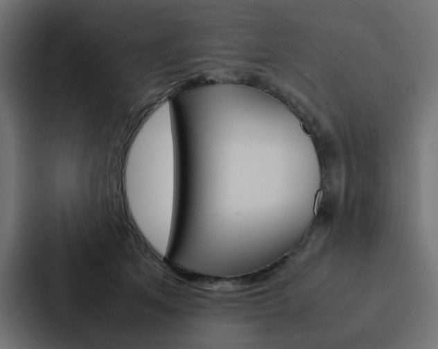 X0000088230513200705151051