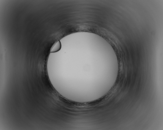X0000088230514200705151051