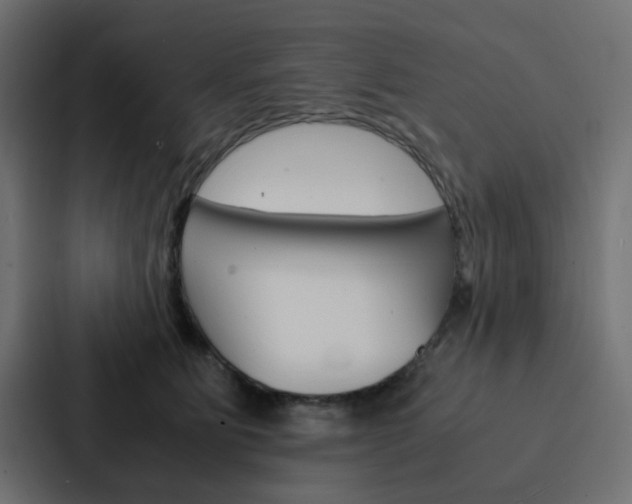 X0000088230515200705151051